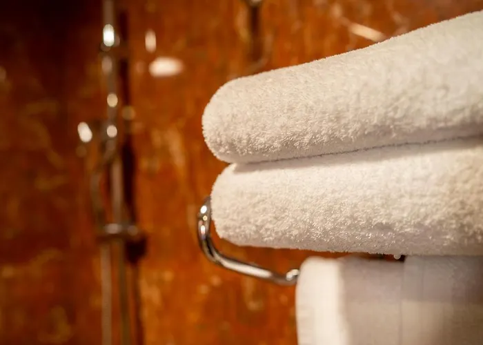 萨拉曼卡胡阿酒店 萨拉曼卡